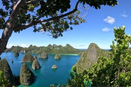 Alat Geotagging bantu wisatawan Raja Ampat  saksikan paus biru