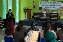 Kota jambi gelar sosialisasi pencegahan rabies