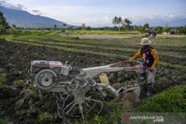 Central Sulawesi readies food area for IKN Nusantara's food supply
