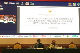 Digital transformation supports sustainable forest management