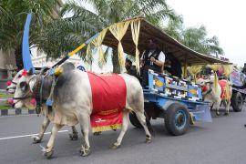 Parade cikar meriahkan Hari Jadi Ke-1218 Kabupaten Kediri