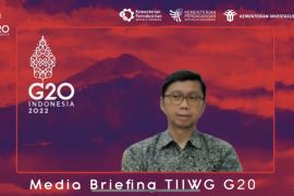 G20 TIIWG discusses draft Ministerial Statement for economic recovery