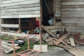 Gajah liar masuk dapur warga