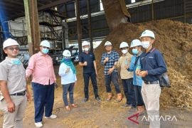 PT KIU gratiskan limbah sawit untuk pakan ternak