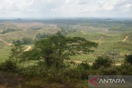 BRIN conducts research to strengthen food security in IKN Nusantara