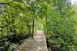 Pemkab Tanah Bumbu Kalsel jadikan Pulau Burung objek wisata