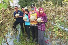 Petani milenial Kotim yakinkan sektor pertanian sangat menjanjikan