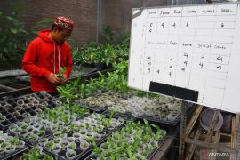 Santri Budi Daya Anggrek