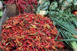 Disperindagkop Papua sebut harga minyak goreng mulai naik di Jayapura