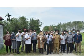 TeFa Polbangtan, miniplant industri pengolahan dan modern nursery kopi