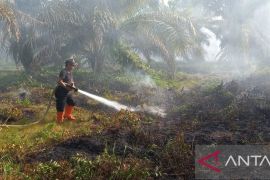 Empat titik Kahutla terjadi di Agam selama tujuh hari