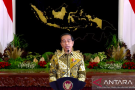 Presiden Joko Widodo targetkan 20 juta UMKM masuk toko daring pada 2022
