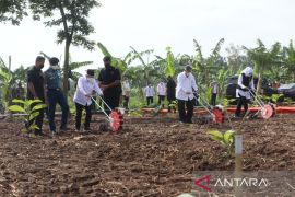 Bupati Purwakarta minta pusat izinkan kelola lahan tidur Perhutani