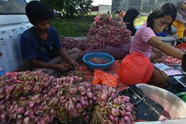 PENJUALAN BAWANG JELANG RAMADAN Page 4 Small