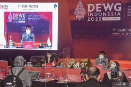 DEWG dorong tranformasi menuju ekonomi digital lebih baik