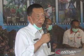 Pemkab Pesisir Selatan minta nagari gencarkan stop kekerasan anak