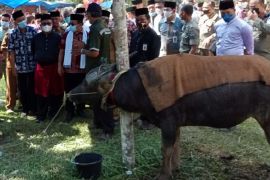 Gubernur Jambi dorong Bantai Adat jadi agenda  nasional