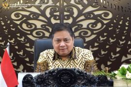 Indonesia, large countries working to address global disruptions