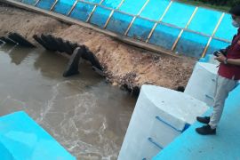 Bocah 12 tahun tewas terjepit di pintu air Jembatan Kembar Batanghari