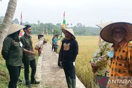 Kadis Pertanian : Kita ingin ada penangkaran bibit di Labura