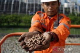 PT PLN produksi listrik hijau dan tekan emisi karbon