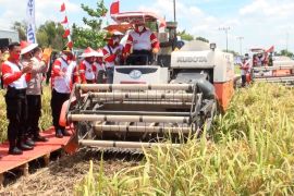 BPTP Kalteng pastikan progres pembangunan Food Estate terus berjalan