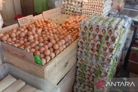 Harga telur ayam di Ambon naik jelang Ramadhan