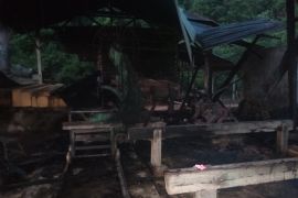 Kilang Kayu di Aceh Jaya hangus terbakar