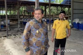 Pemprov beri kemudahan perizinan peternakan  untuk swasembada daging