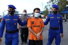 Seratusan belangkas diselamatkan dari praktik penyelundupan