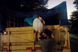 Polresta Ambon tingkatkan razia miras selama Ramadhan