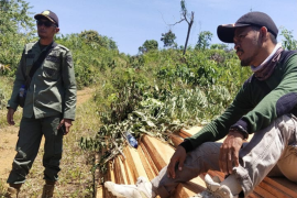 KPHP Mukomuko temukan kayu ilegal di hutan negara
