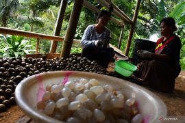 Harga Kolang Kaling Naik Saat Ramadhan