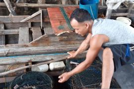 Tauke atur harga ikan, nelayan Bintan sulit sejahtera