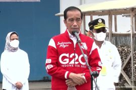 Jokowi harap pinang biji jadi komoditas ekspor unggulan Indonesia