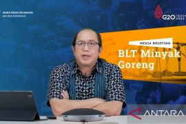 Pemerintah anggarkan Rp6,95 triliun untuk BLT minyak goreng