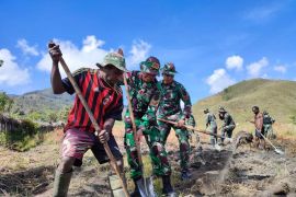 Satgas Yonif MR 412 bantu olah lahan pertanian warga Lanny Jaya