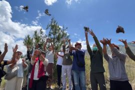 Yayasan Puri Kauhan Ubud adakan pelatihan Tandur Taru Urip