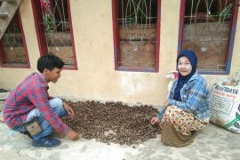 Warga Puppuring manfaatkan kawasan hutan untuk tingkatkan perekonomian