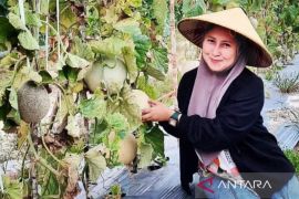 Urgensi pengelolaan wakaf produktif