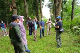 Danone-Aqua kerja sama pelestarian TN Gunung Halimun Salak