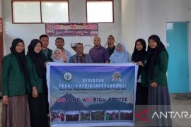 Mahasiswa Polbangtan Medan gali potensi kopi di Toba