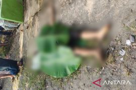 Polres HST beberkan kronologis tabrakan maut di Desa Maringgit