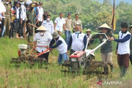 Program bajak gratis berjalan lambat, ini penjelasan Dinas Pertanian Tanah Datar