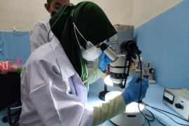 Kenali prosedur karantina, Mahasiswa Polbangtan Kementan PKL di BPKP Belawan