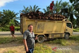 Harga pupuk non subsidi di Nagan Raya dijual Rp1 juta/sak, DPRK minta polisi bertindak
