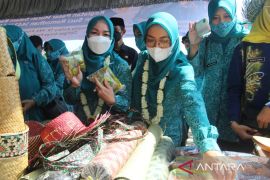 PKK Kalsel gelar pasar murah dan sunatan massal di Tamban