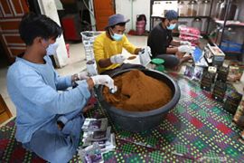 Peluang besar, Pemerintah dorong ekspor produk organik olahan dari perkebunan