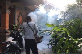 Pemkot Denpasar lakukan penyemprotan antisipasi DBD