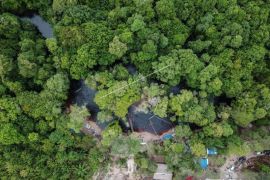 OKI susun dokumen perlindungan ekosistem gambut satu juta hektare